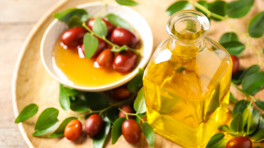 L’Huile de Jojoba : L’Or Liquide des Déserts pour Sublimer votre Peau