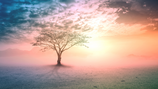 L’Arbre de Vie : Symbole Universel de Connexion, de Croissance et de Renouveau