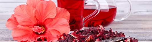 L’huile d’hibiscus : le secret floral des reines d’Afrique