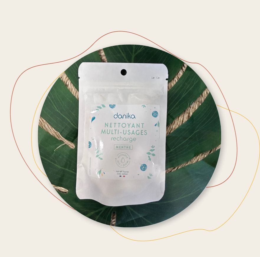 Recharge Nettoyant Multi - Usages Menthe
