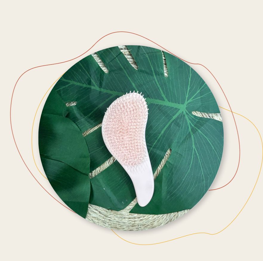 Petite Brosse Cheveux
