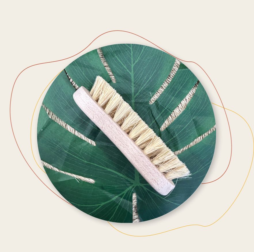 Brosse à Récurer en Bois Robuste à Poils Durs
