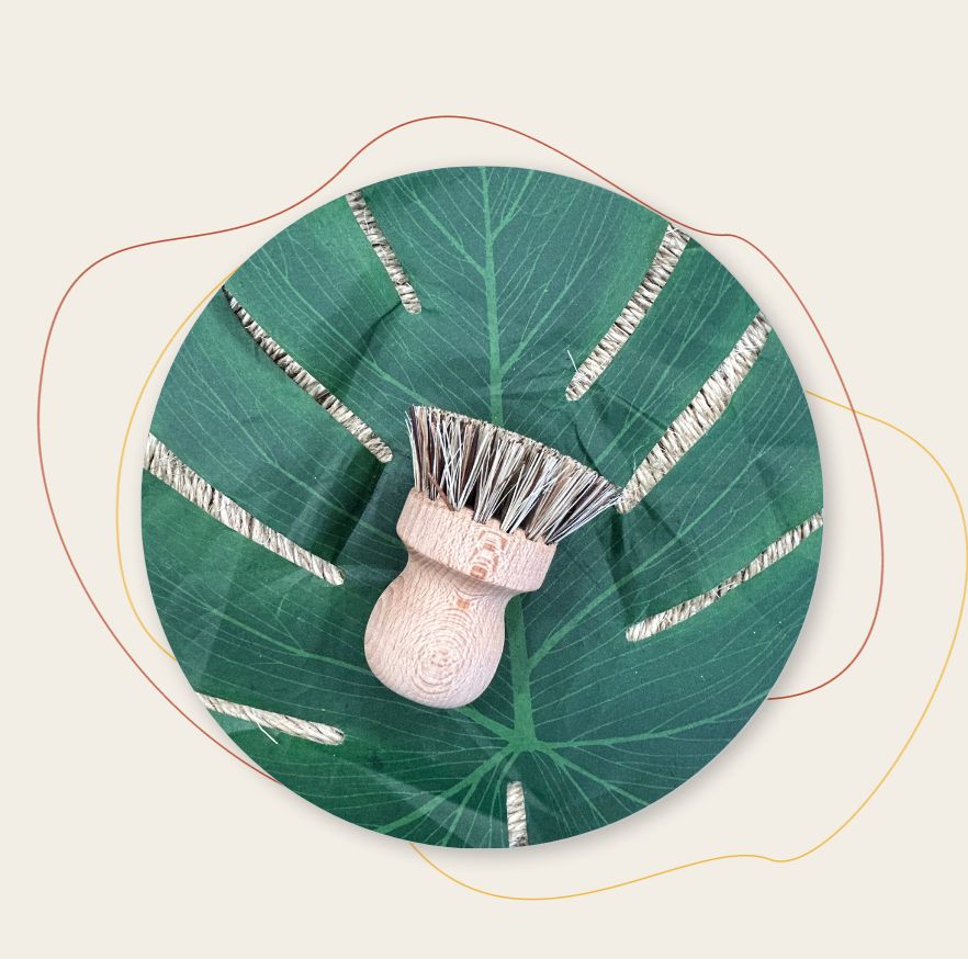 Brosse à Vaisselle Ronde