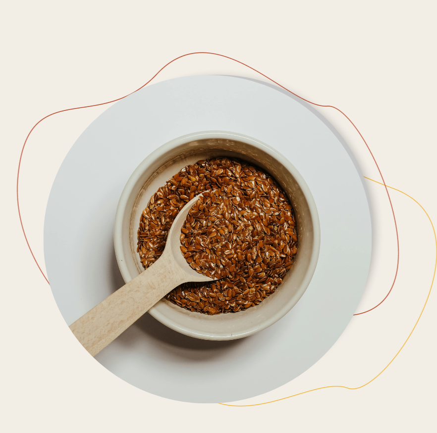 Graine de lin brun bio