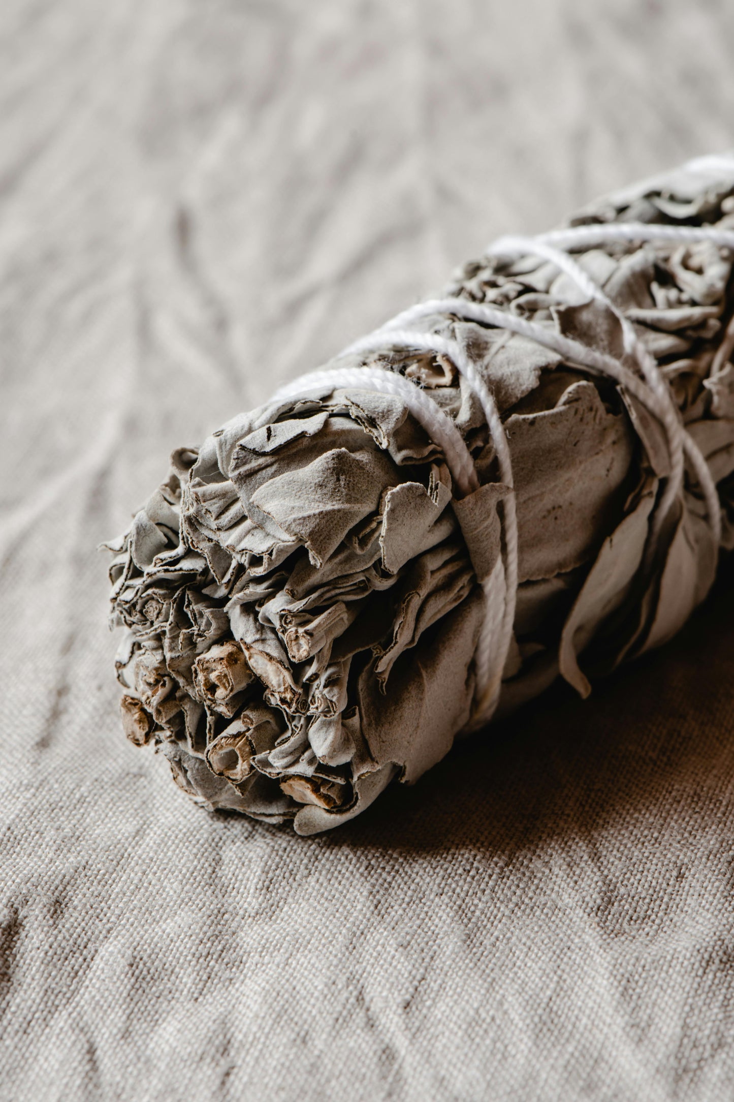 Encens en Feuilles de Sauge Bio - Purification Naturelle et Équilibre Énergétique