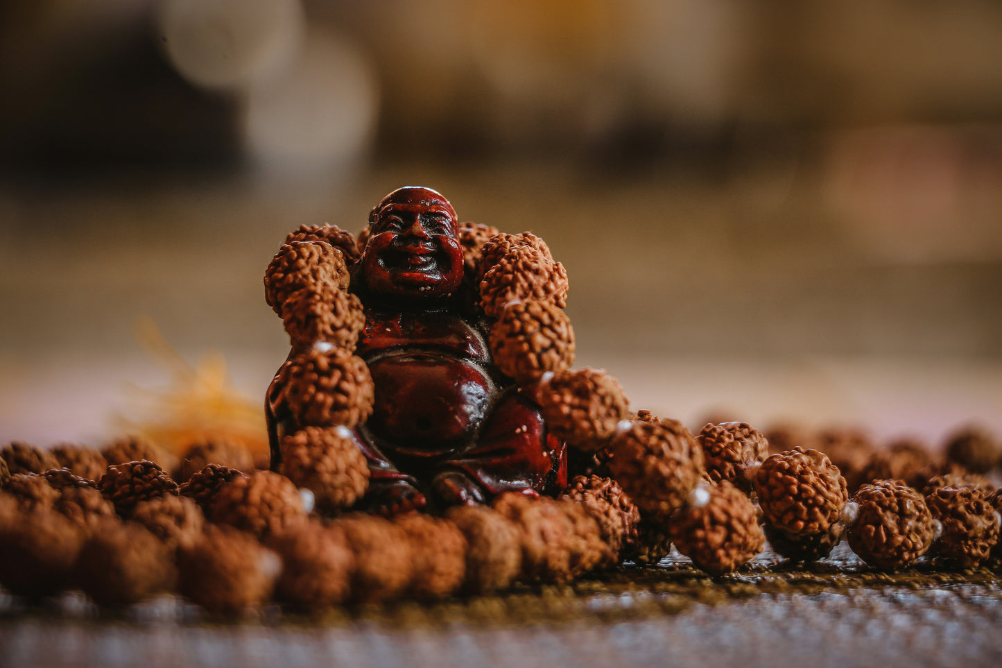 Graine Indienne Rudraksha pour la meditation