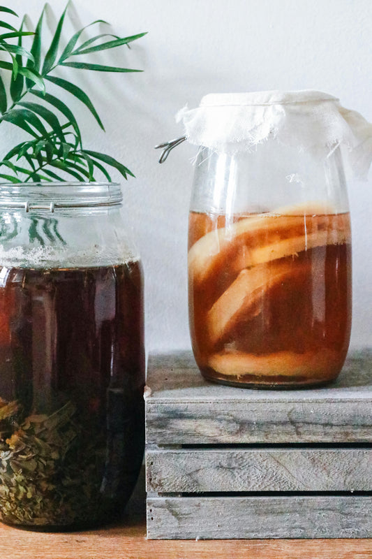 Kombucha : L’élixir millénaire du thé fermenté