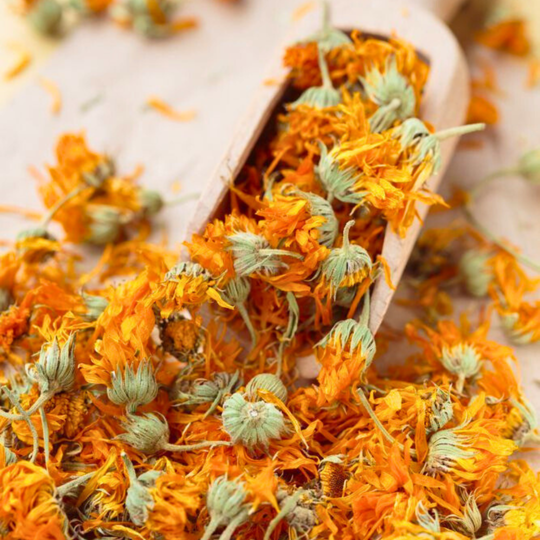 Calendula : La Fleur Qui Soigne et Embellit