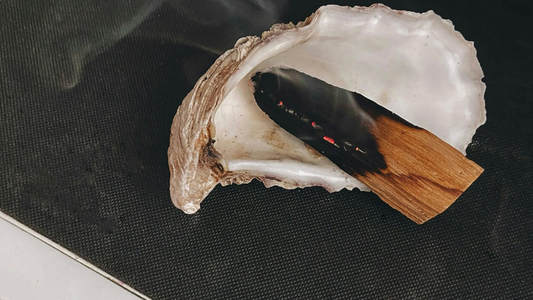 Palo Santo : Le Bois Sacré qui Purifie l’Âme et l’Esprit