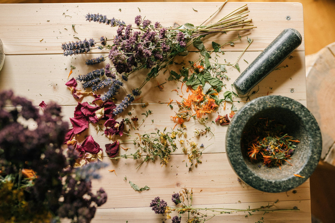 🌿 La naturopathie, ce n’est pas juste des plantes : démêlons le vrai du faux