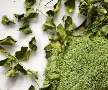 Comment Améliorer ses Performances Sportives avec le Moringa 🌿✨