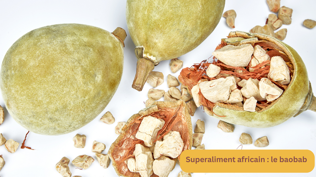 Baobab : le superaliment africain qui booste ton énergie naturellement