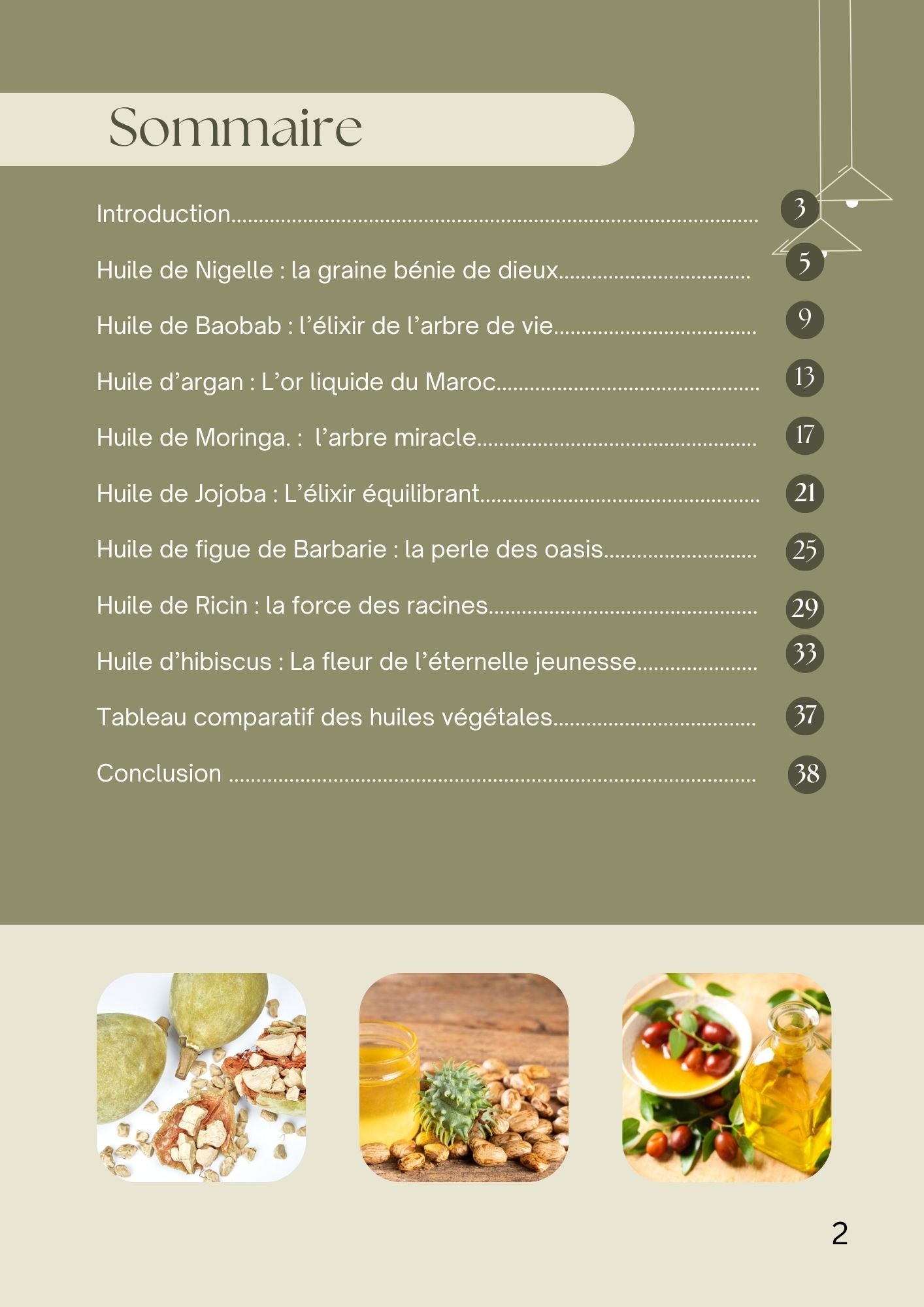 🌿 Découvrez le guide gratuit : Les 8 huiles indispensables pour une beauté naturelle et consciente